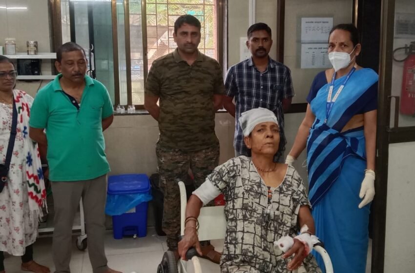  महिलेची बिबट्याशी अर्धा तास घरात झुंज, महिला गंभीर जखमी