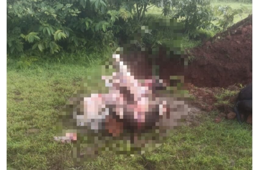  वेतोशी येथे फिल्मी स्टाईलने गोवंश हत्येतील दोघांच्या मुसक्या आवळल्या
