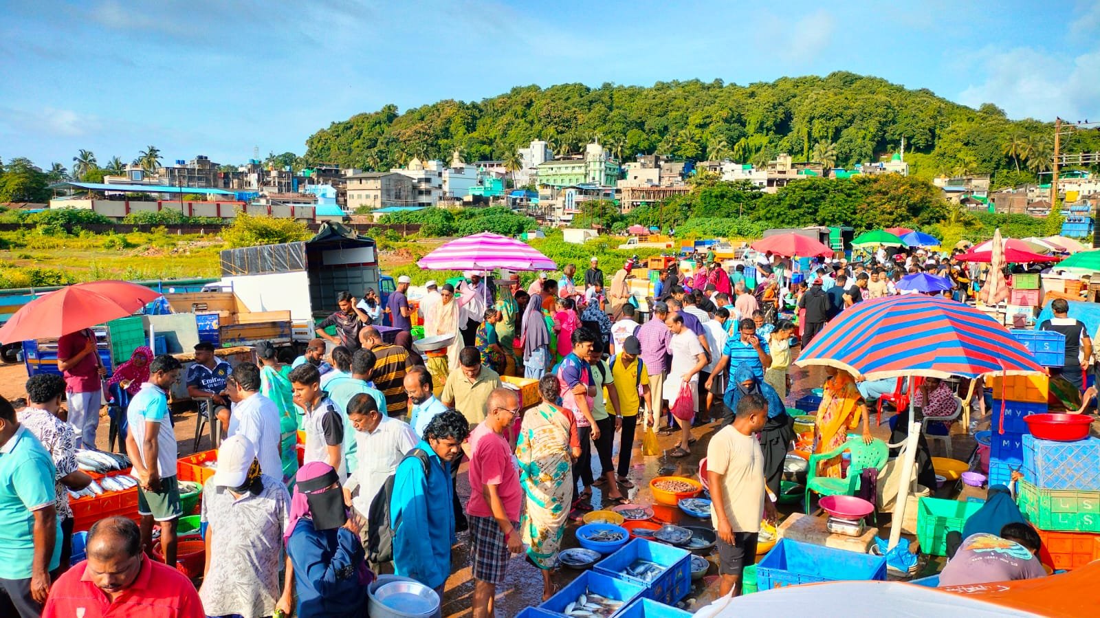 श्रावण संपताच मिरकरवाडा बंदरात खवय्यांची गर्दी