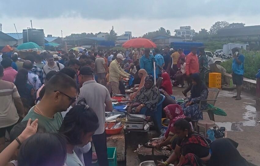  गौरी गणपती विसर्जनानंतर मासळी बाजारात मोठी गर्दी