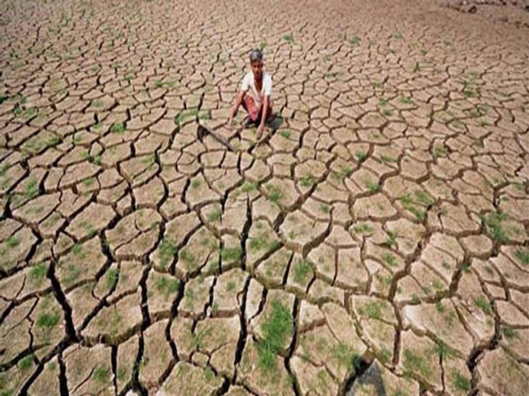 रत्नागिरीतील तीन तालुक्यांसह राज्यातील २६५ तालुक्यांत दुष्काळ जाहीर
