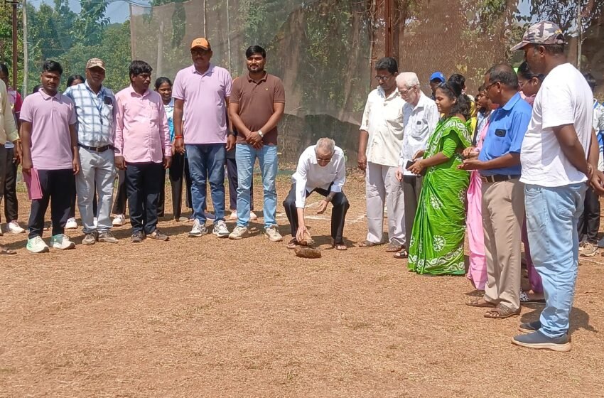  न्यू इंग्लिश स्कूल, सैतवडेची जिल्हास्तरीय शालेय बेसबॉल स्पर्धेत दैदीप्यमान कामगिरी!